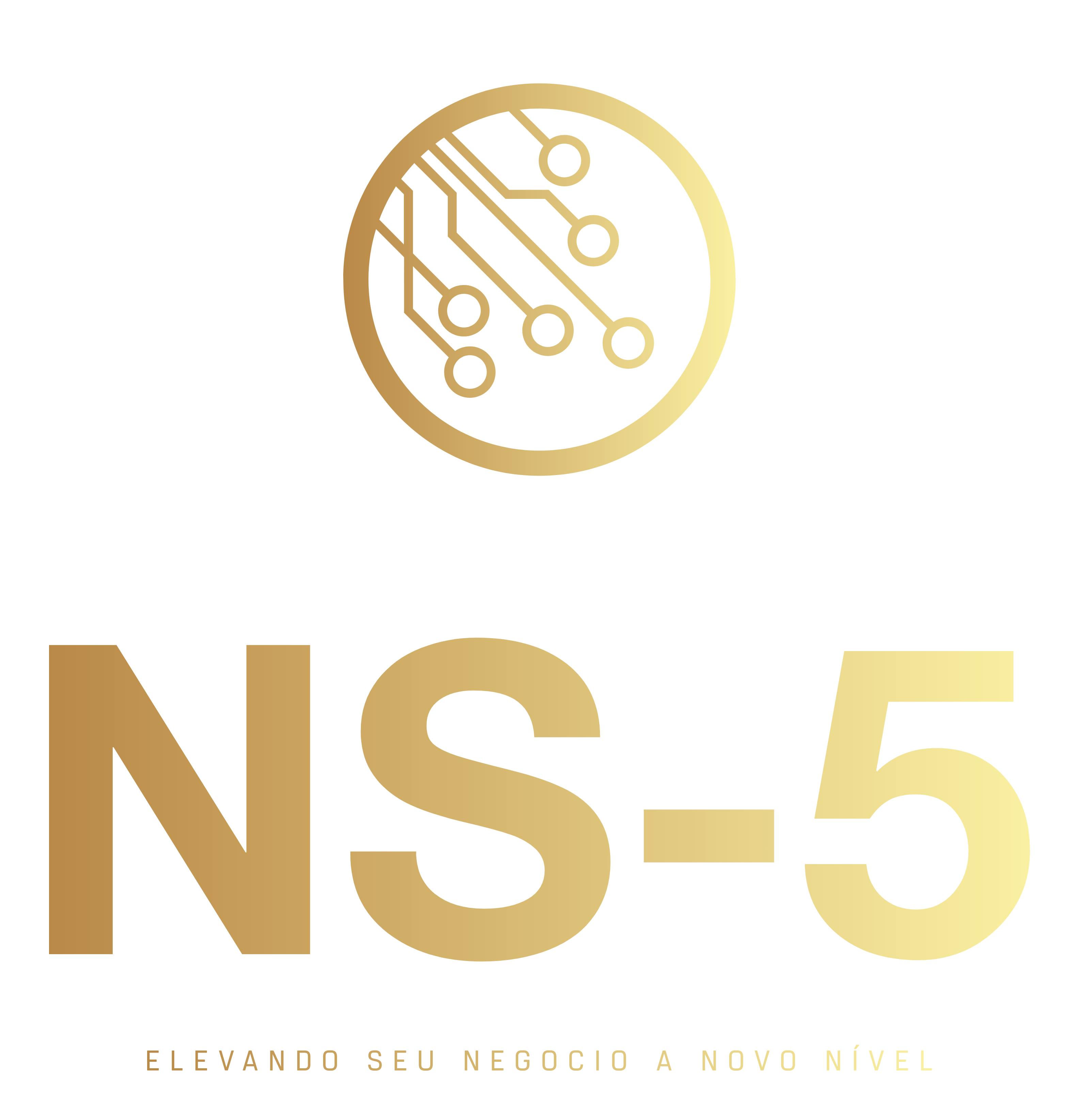 NS-5API Logo